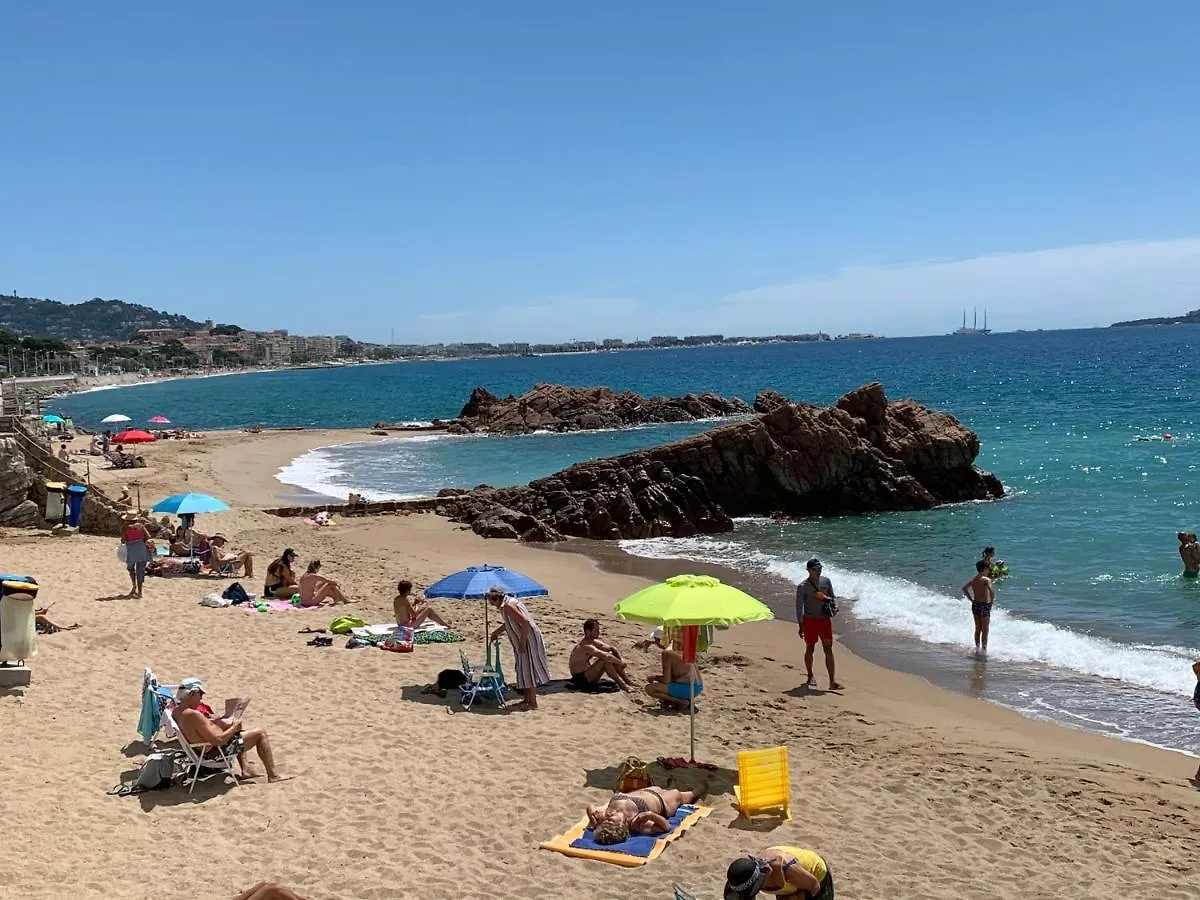 Appartement Le Palm Azur à Cannes